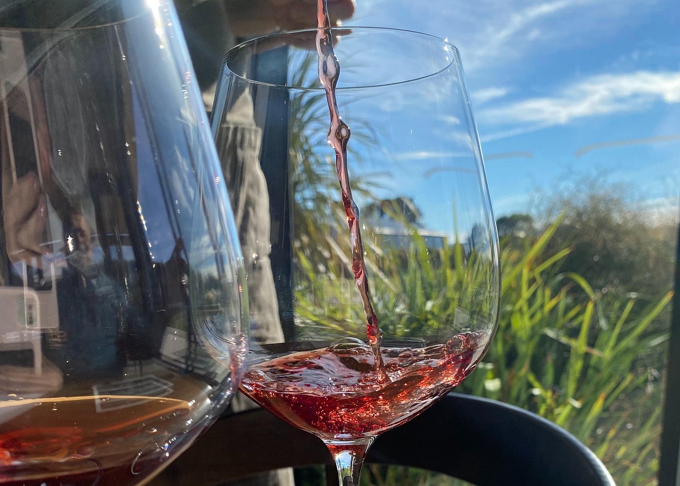 Martinborough Wine Tour